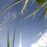 Patrick Holten - @fpv_pietry - Instagram