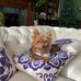 Patrick Hon - Facebook