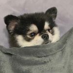 Patrick Hong - @patrickhong_hz - Instagram