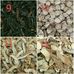 Patrick Hong - Facebook