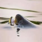 Patrick Horne - @hornepatrick1 - Instagram