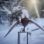 Patrick Houle - @patrickmhoule - Instagram