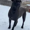 Patrick Howell - @patrick.howell8 - TikTok