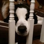Patrick Howie - @phowie - Instagram