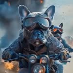 Patrick Howie - @patrifick_howzer - Instagram
