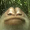 Patrick Howley - @patrickhowley - TikTok