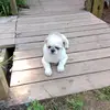 Patrick Huber - @patrickhuber883 - TikTok