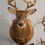 Patrick Huber - Facebook