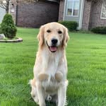 Patrick Hubert - @patrickweber.0202 - Instagram