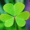 Patrick Huerta957 - @patrickhuerta957 - TikTok