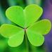 Patrick Huerta - Facebook