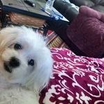 Patrick Hurst - @patrick.hurst - Instagram