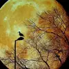 Patrick Hutchins - @patrick.hutchins1 - TikTok
