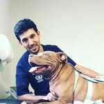 Patrick Infante Médico Veterinário Fisiatra - @mv_patrickinfante - Instagram