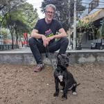 Patrick Inglis - @patrickinglis - Instagram