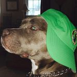 Patrick Isley - @cpisley002 - Instagram