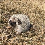 Nicholas Patrick Iverson - @nic_iverson - Instagram