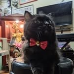 Patrick Jacinto - @pj_isafk - Instagram