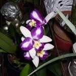 Patricia Wray Jackowski - @patriciawrayjackowski - Instagram