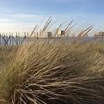 Patrick Jacquot - @patrick.jacquot14 - Instagram