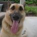 Patrick Jamieson - Facebook