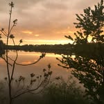 Patrick Jamieson - @jamieson_patrick - Instagram