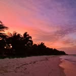 Patrick Johnsen - @johnsenpatrick - Instagram