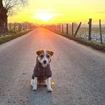 Patrick Jonas - @patrick.jonas.35 - Instagram