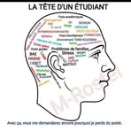 Patrick Jonas - Facebook