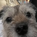 Patrick Junker - @junkerp - Instagram