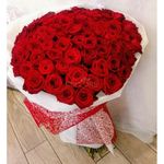Patrick Kealey - @kealey4805 - Instagram
