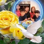 Patrick Kee - @patrick.kee1955 - Instagram