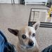 Patrick Keesy - Facebook