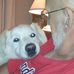 Patrick Keefe - Facebook