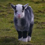 Patrick Keeling - @imgoingtowinthis - Instagram