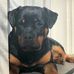 Patrick Keller - Facebook