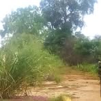 Patrick Kelly Ngea - Facebook