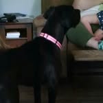 Griffin John Patrick kempen - @puppylover12999 - Instagram