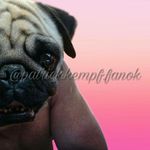 😎Patrick Kempf fanok😎 - @patrick.kempf.fanok - Instagram