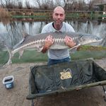 Patrick Kempkes - @kempkesp - Instagram