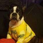 Patrick Kendall - @imperial_patrick - Instagram