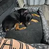 patrickkendall0624 - @patrickkendall0624 - TikTok