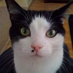 Patrick J Kendrick - @otto0316 - Instagram