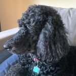 Patrick Kennerly - @pfkenn - Instagram