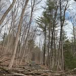 Patrick Kenny - @thepkway202 - Instagram