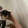 Patrick Kent - @patrick.kent2 - TikTok