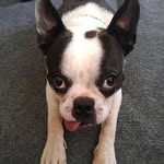 Patrick Kent - @otis_2013 - Instagram