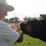 Patrick Keogh - @patrick.keogh.739 - Instagram