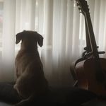 Patrick Keogh - @patrick.keogh.169 - Instagram