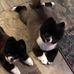Patrick Keppler - Facebook